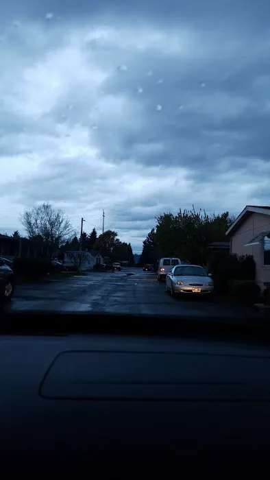 Sandy Mobile Villa Picture 8