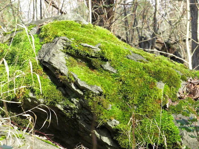 Sandy Mobile Villa Picture 9