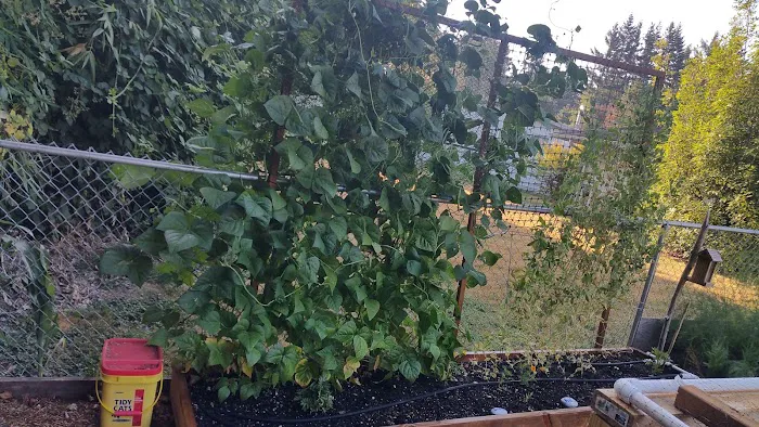 Terrand Mobile Terrace Picture 2