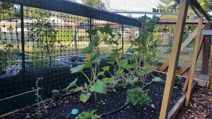 Terrand Mobile Terrace Picture 3