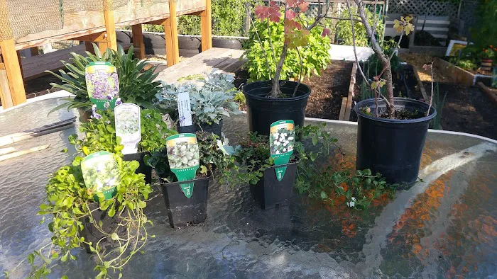 Terrand Mobile Terrace Picture 6