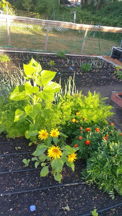 Terrand Mobile Terrace Picture 8