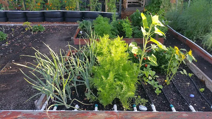 Terrand Mobile Terrace Picture 7