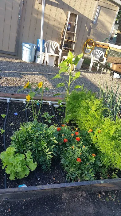 Terrand Mobile Terrace Picture 10