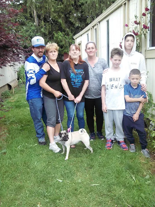 Lantern Lane Mobile Villa Picture 1