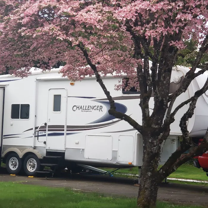 Lantern Lane Mobile Villa Picture 7