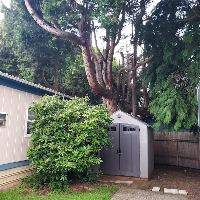 Lantern Lane Mobile Villa Picture 8