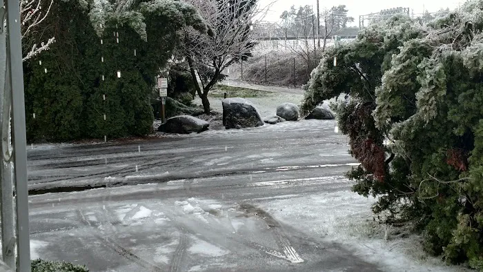 Cherry Blossom Mobile Home Park Picture 8