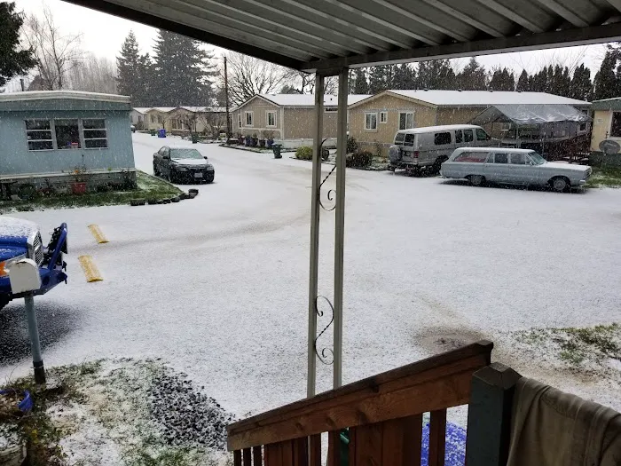 Cherry Blossom Mobile Home Park Picture 6