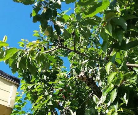 Mobile Estates, Manager: Robert Moffett