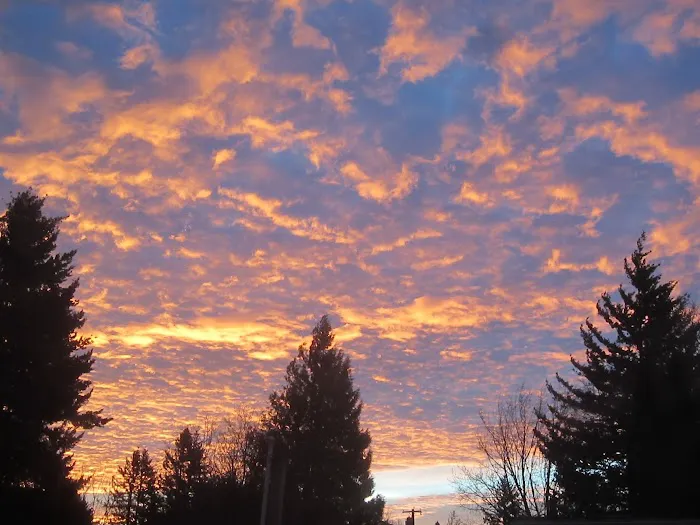 Mobile Estates, Manager: Robert Moffett Picture 5