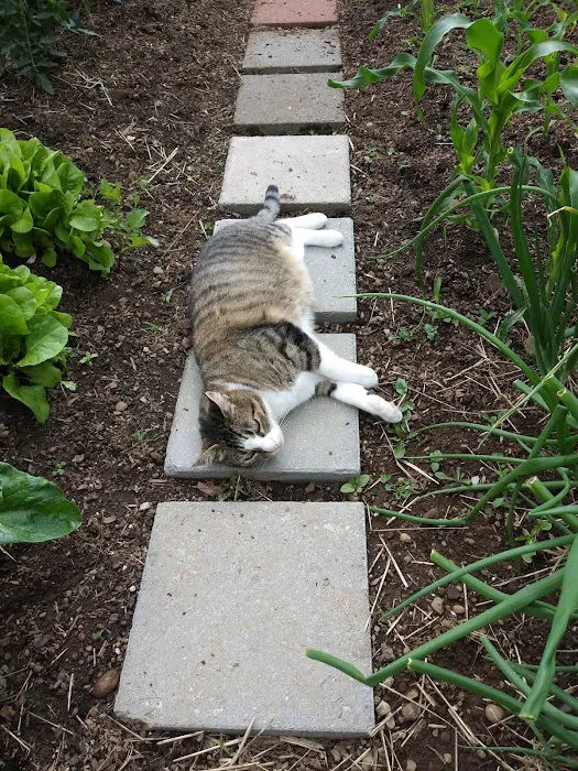 Mobile Estates, Manager: Robert Moffett Picture 6