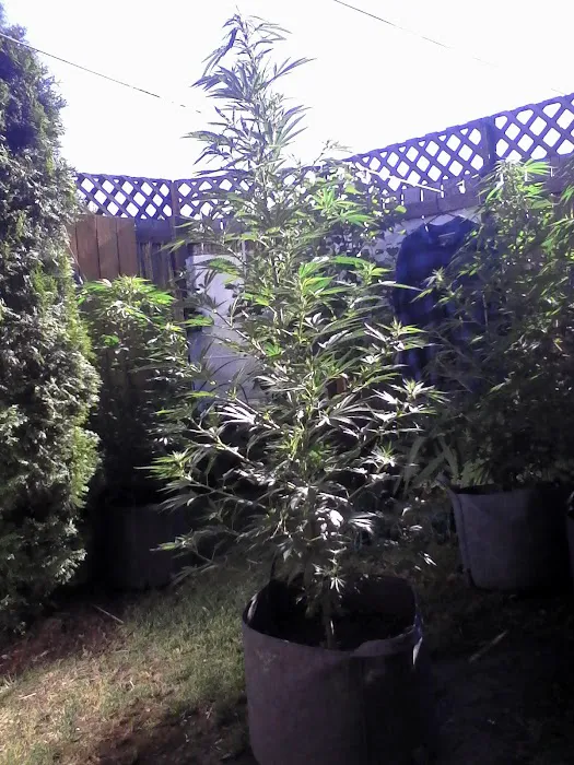 Mobile Estates, Manager: Robert Moffett Picture 9