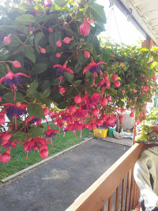 Mobile Estates, Manager: Robert Moffett Picture 10