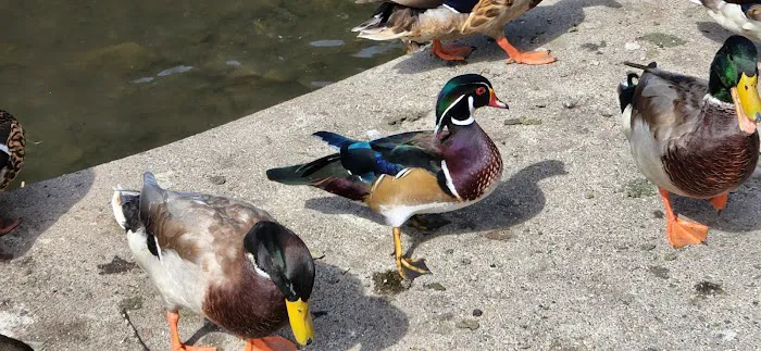 Portland Fairview RV Park Picture 3