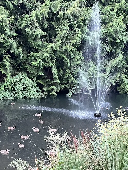 Portland Fairview RV Park Picture 6