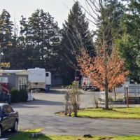 Tall Firs Mobile Home & RV Park ico