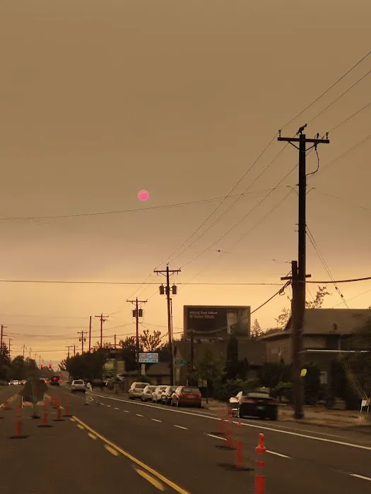 Tall Firs Mobile Home & RV Park Picture 5