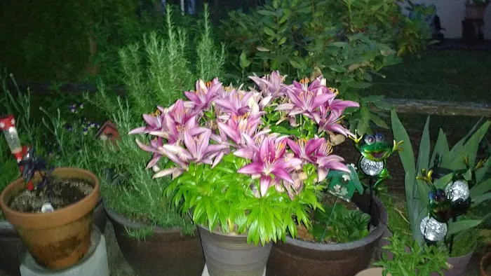 Meadowcrest Farm Estates Picture 5