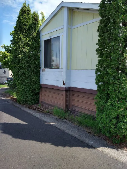 Poplar Mobile Manor Picture 3