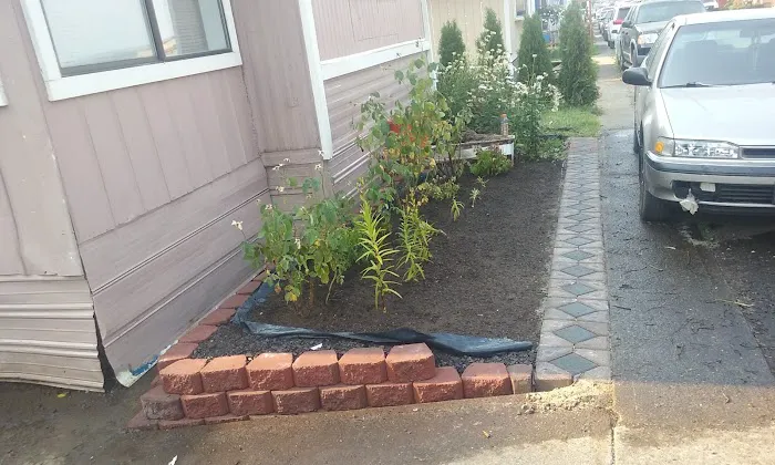 Wood Village Green Picture 2