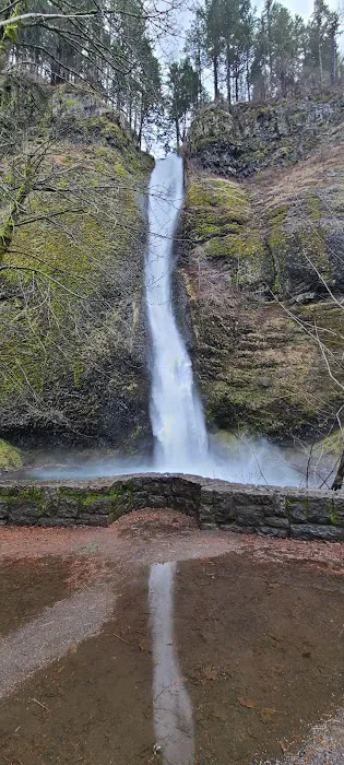 Columbia Vista Manufactured Home Community Picture 3