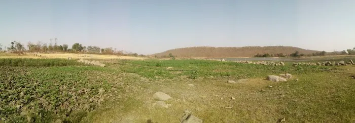 Stark Firs Mobile Home Park Picture 3