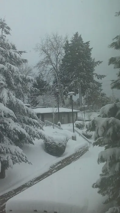 Stark Firs Mobile Home Park Picture 2