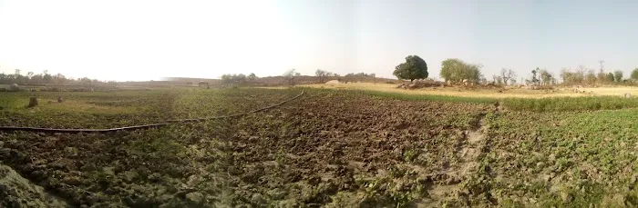 Stark Firs Mobile Home Park Picture 1