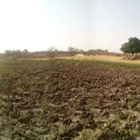 Stark Firs Mobile Home Park ico