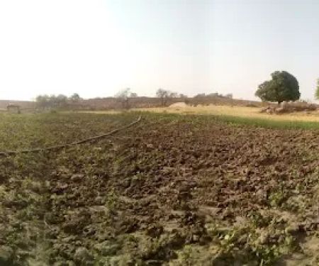 Stark Firs Mobile Home Park