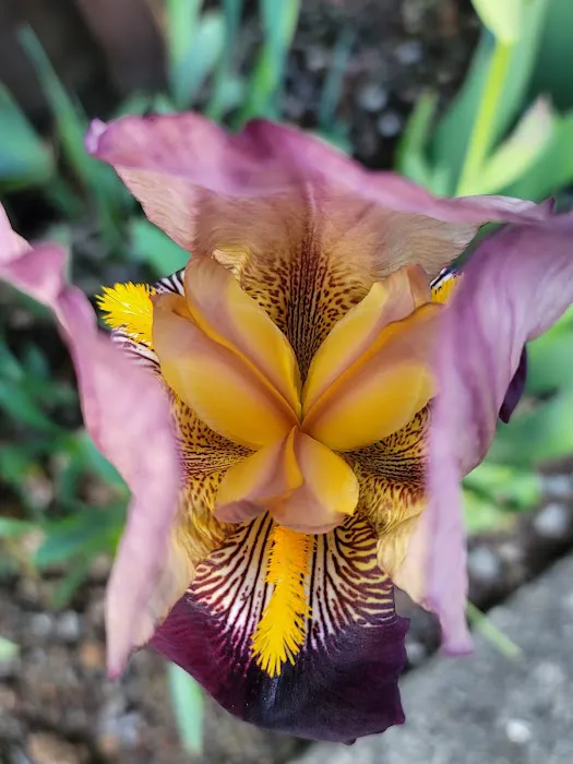 Sandy Riverfront Rv Resort Picture 6