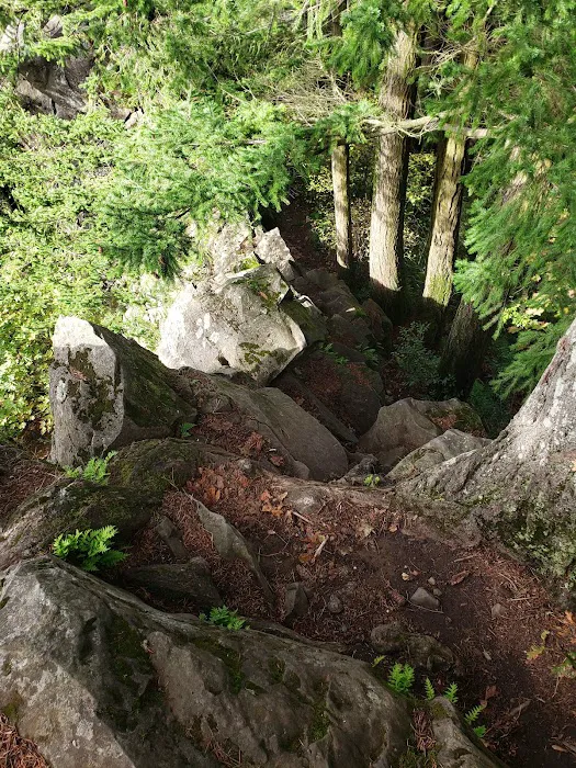 Sandy Riverfront Rv Resort Picture 10