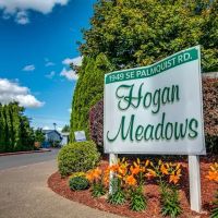 Hogan Meadows ico