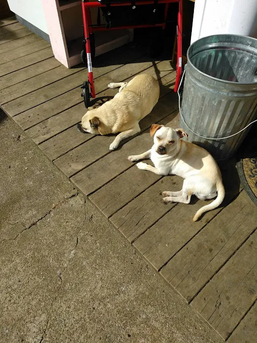 Brass Lamp Trailer Park Picture 5