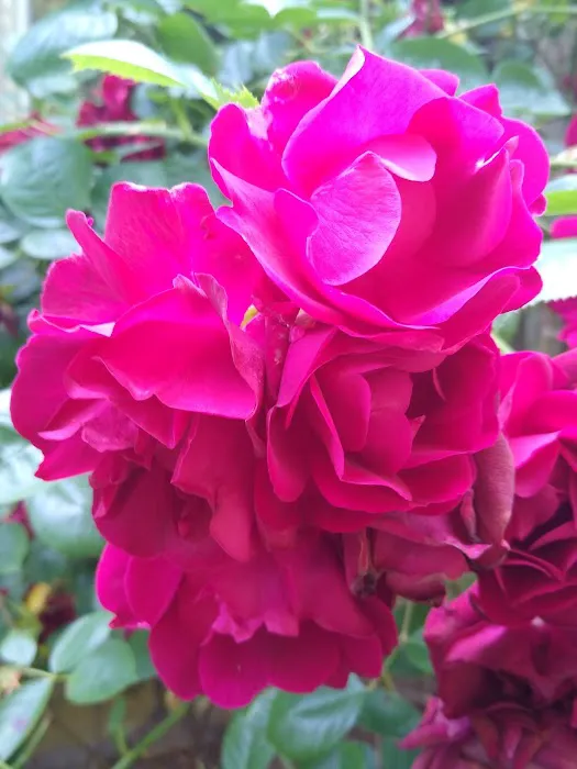 Whisper Creek Picture 1