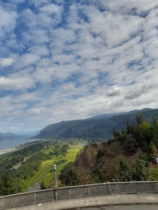 Circle Cedar Court Picture 2