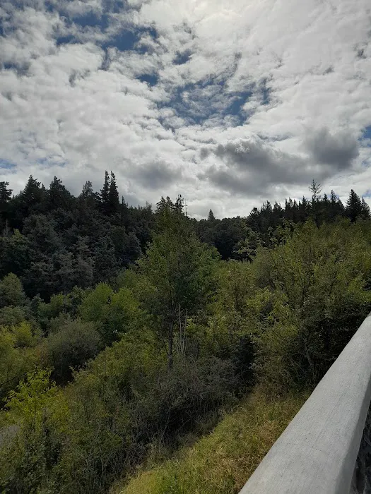 Circle Cedar Court Picture 4