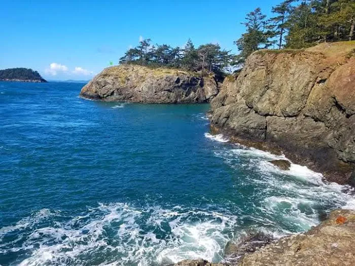 Park Rose RV Picture 3