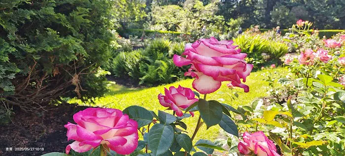 Park Rose RV Picture 5