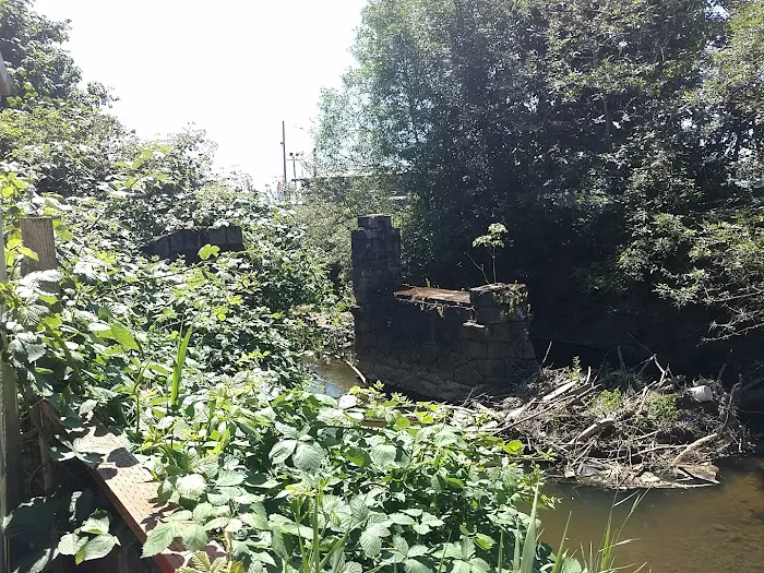 Johnson Creek Trailer Park Picture 9