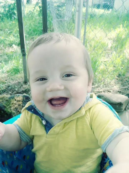 Mini Mobile Park Picture 5