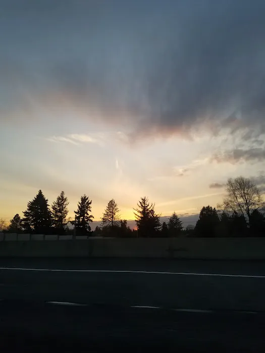 Mini Mobile Park Picture 7