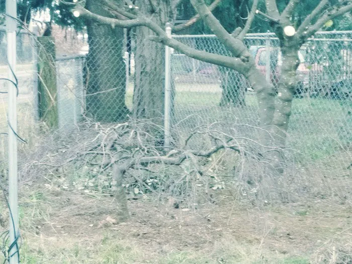 Mini Mobile Park Picture 8