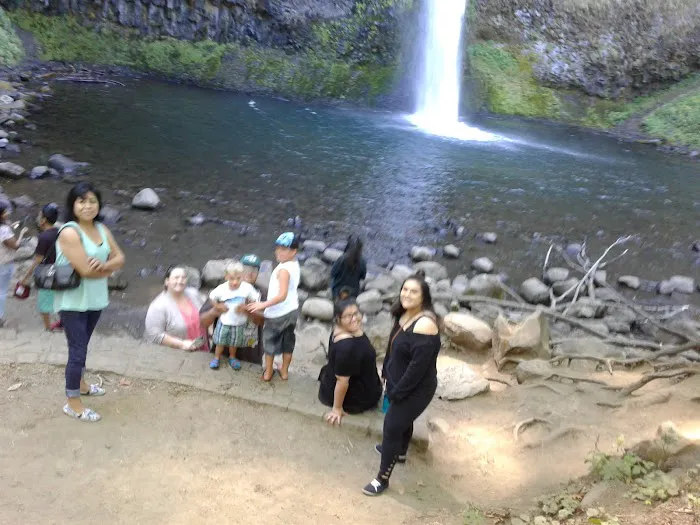 North Shore Estates Picture 1