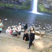 North Shore Estates ico