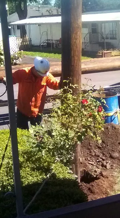 Holly Tree Mobile Home Park Picture 1