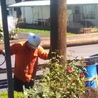 Holly Tree Mobile Home Park ico