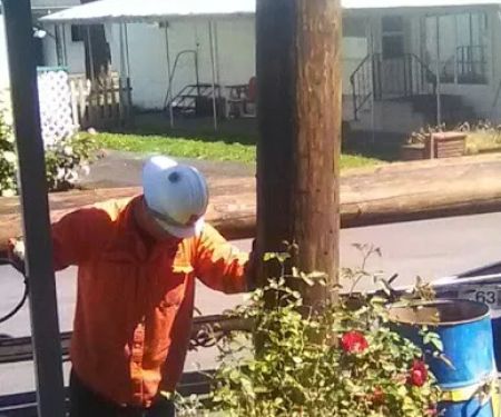 Holly Tree Mobile Home Park