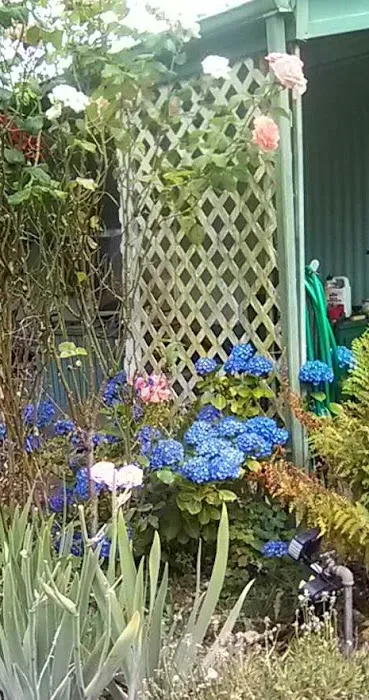 Holly Tree Mobile Home Park Picture 2